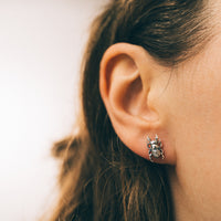 BEETLE & WEEVIL - Sterling Silver Studs