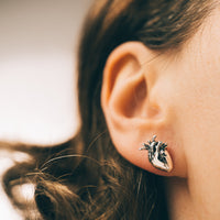 CARDIUM - Sterling Silver Studs